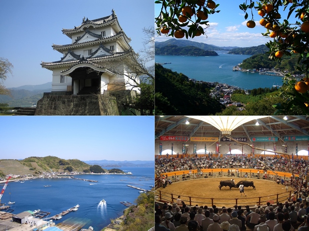 宇和島徳洲会病院付近の環境など|医師求人票